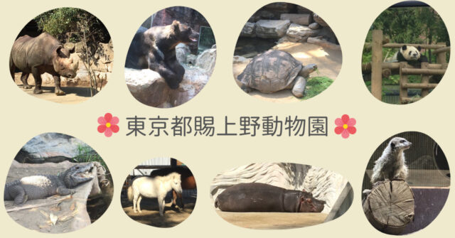 東京都 上野動物園のおすすめポイント 世界三大珍獣ぜんぶ会えるよ 小さな一歩