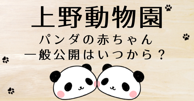 上野動物園 パンダ 公開 いつ