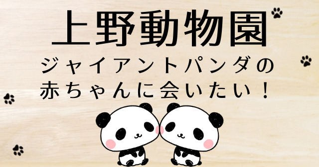 上野動物園 パンダ 公開 いつ